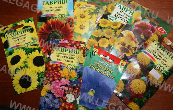 Пакетики семян цветов. Цветы семена. Пакетированные семена цветов. Семена в пакетиках. Цветочные культуры семена
